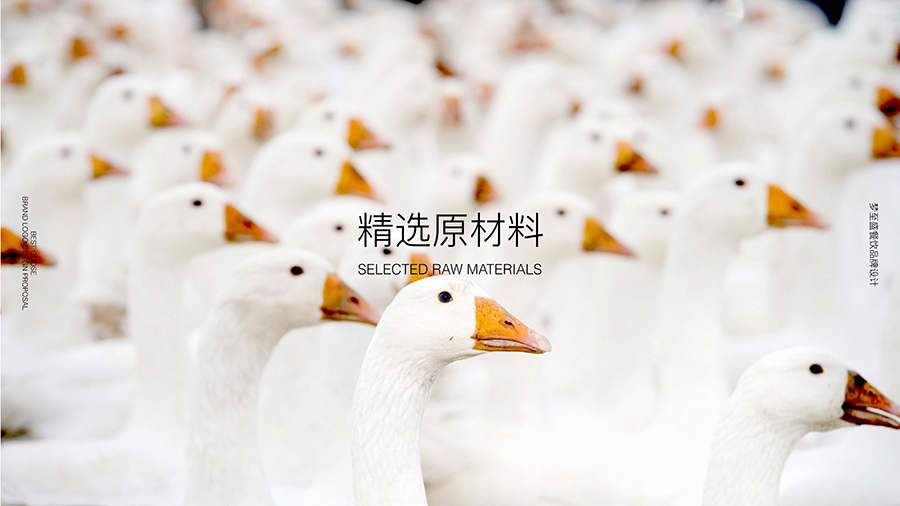 072114013963_0鹅上鹅品牌标志设计提案_3.jpg
